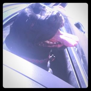 Welcome to my closet!